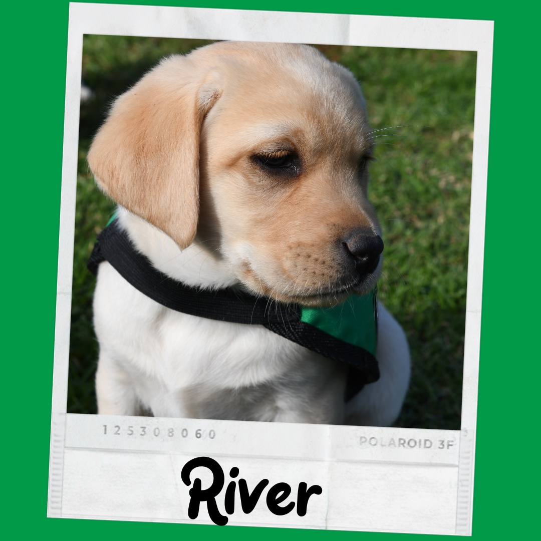 River_website