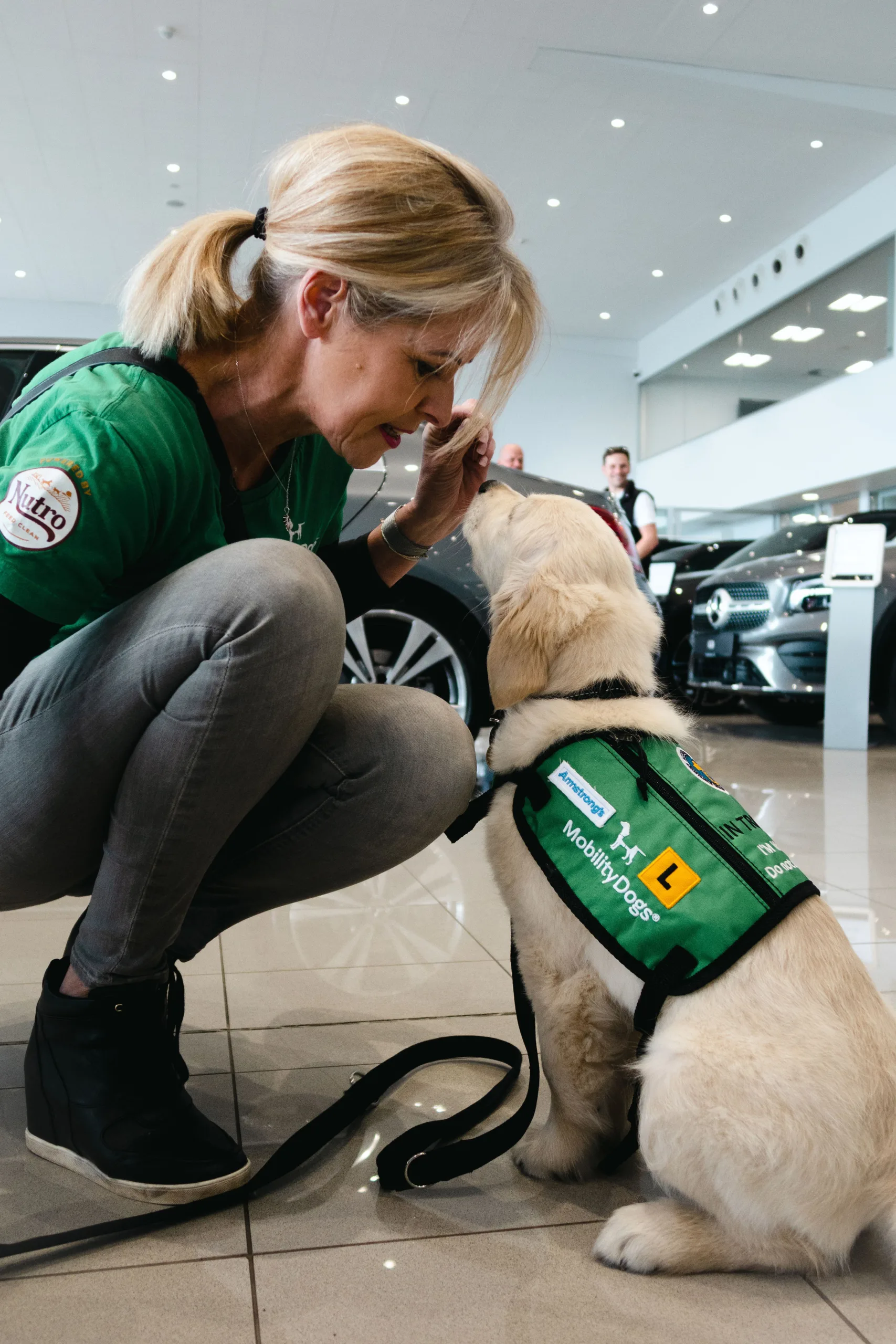 Mobility Dog puppy in green jacket looking up at puppy raiser while training