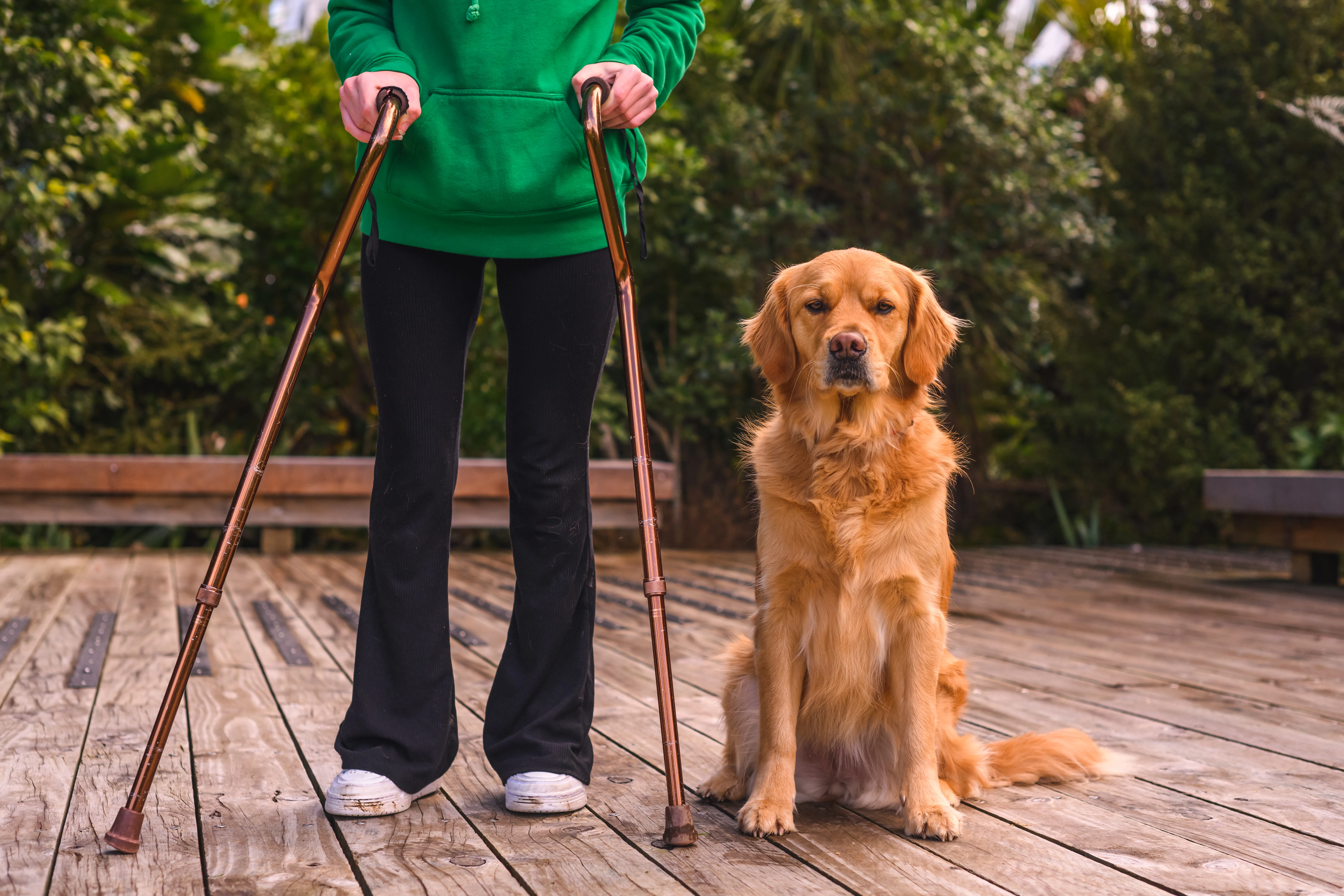 The image shows a person standing using crutches outdoors with a dog. The dog is a Mobility Dog. They are standing near some trees on the ground.
