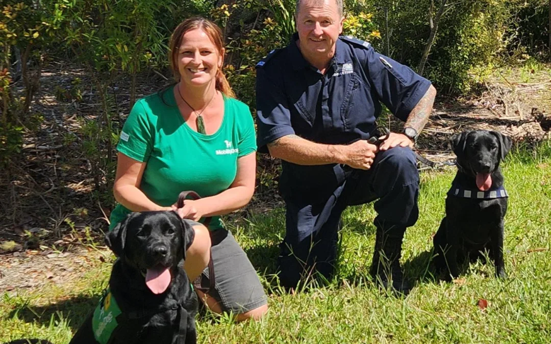 A woman and man with two black labradors