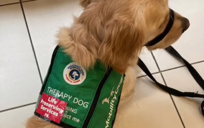 Gracie the Golden Retriever: A lifeline and a light for Michal 💚