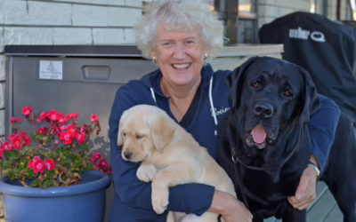 Julie Bedford, Croftsway Labradors: In Her Own Words