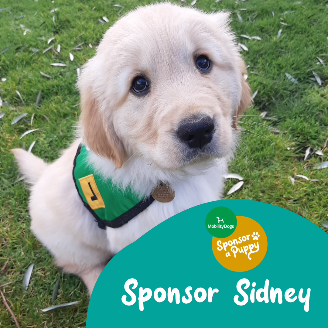 Sidney (1)